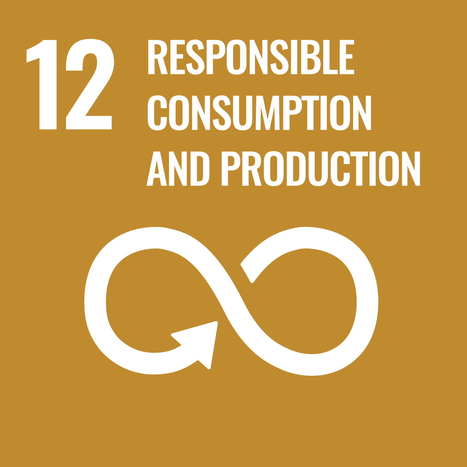 12-RESPONSIBLE CONSUPTION & PRODUCTION